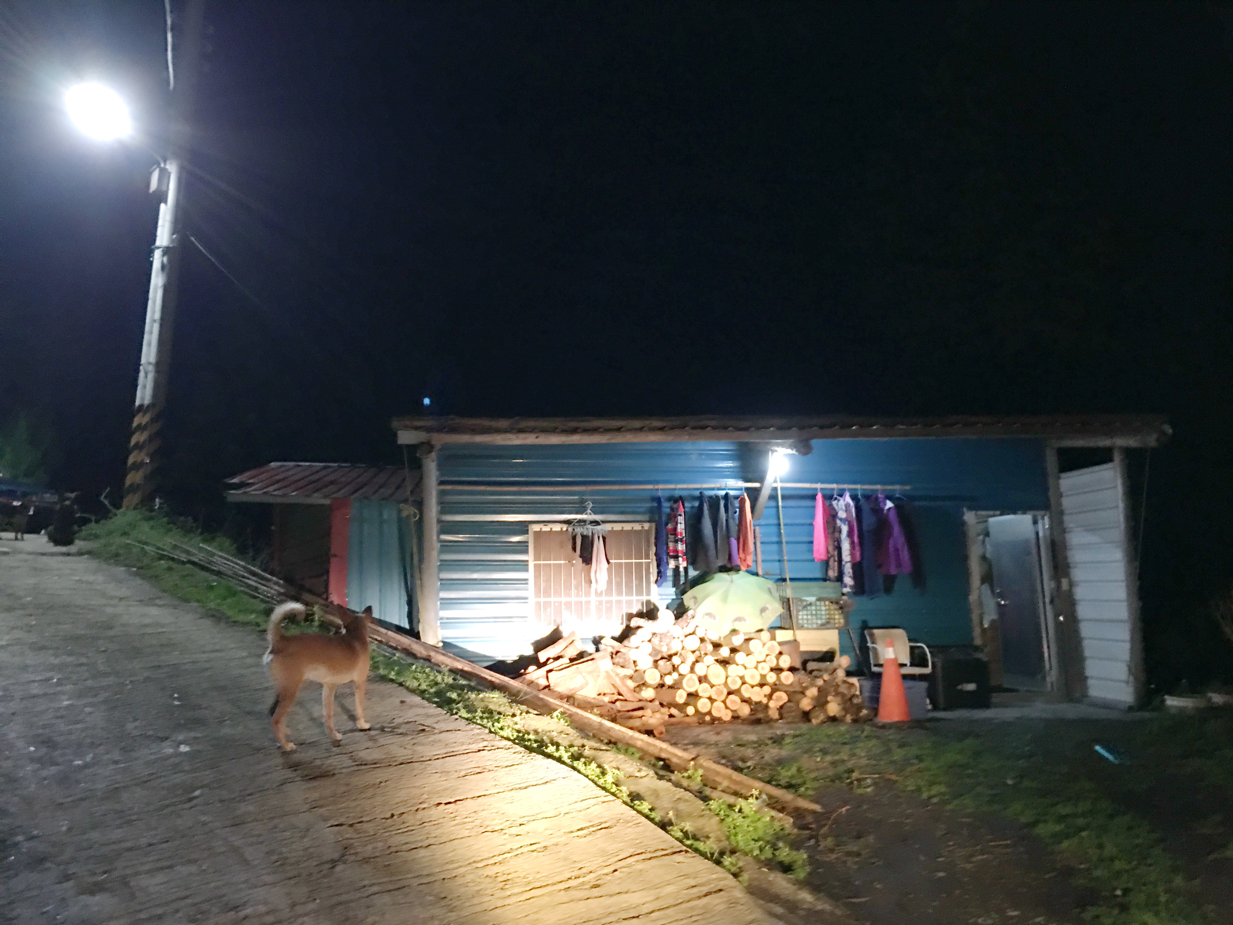 林暖珠母子窩住的深山鐵皮陋屋。向高彬攝 林暖珠母子窩住的深山鐵皮陋屋。向高彬攝