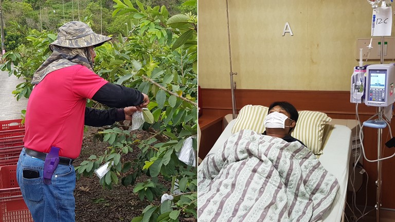 左圖為74歲阿盛伯租地種芭藥;右圖為肺癌復發轉骨的阿鈞進行化療。韓旭爾攝 左圖為74歲阿盛伯租地種芭藥;右圖為肺癌復發轉骨的阿鈞進行化療。韓旭爾攝