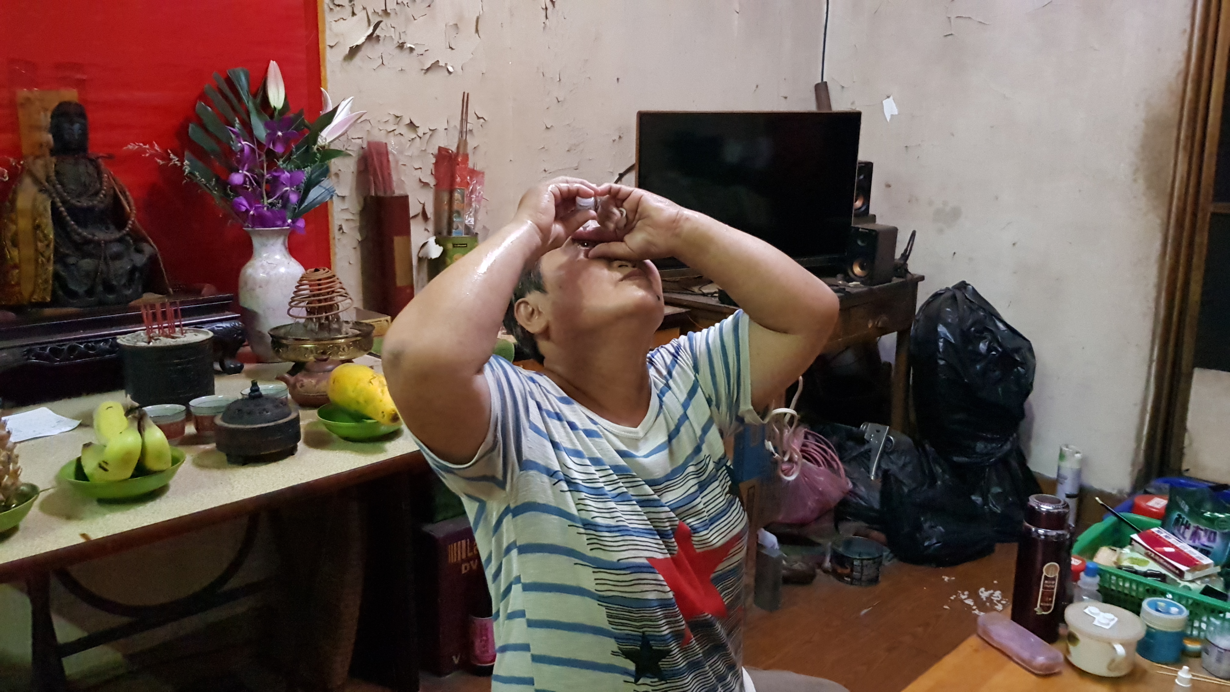 阿蘭婆視網膜退化,雙眼視力不佳,長期點眼藥水控制。韓旭爾攝 阿蘭婆視網膜退化,雙眼視力不佳,長期點眼藥水控制。韓旭爾攝